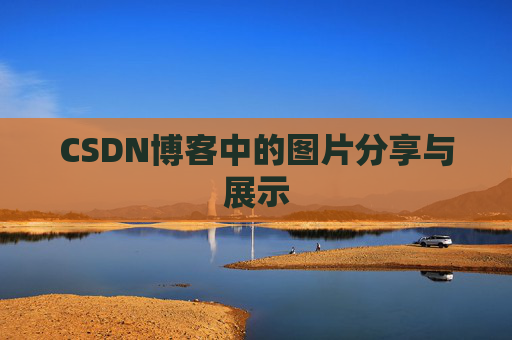 CSDN博客中的图片分享与展示